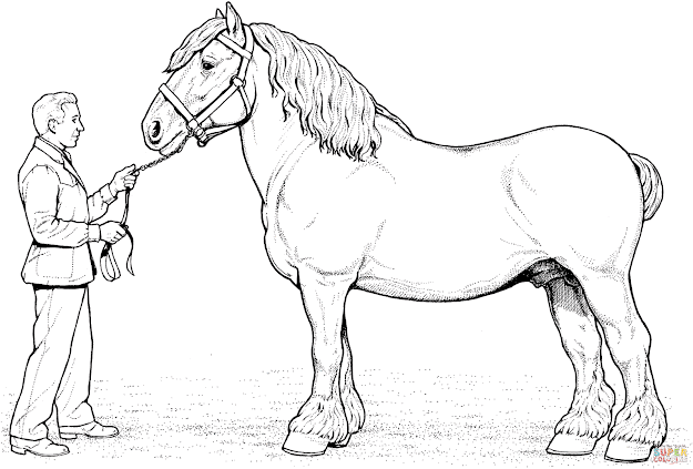 Click The Clydesdale Horse Coloring Pages To View Printable Version Or Color  It Online Patible With Ipad And Android Tablets