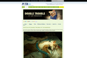 foto double trouble di situs peta