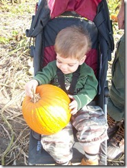 TrumanPumpkin