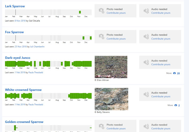 Sample eBird Illustrated Checklist at Buddy Todd Park, Oceanside, California.