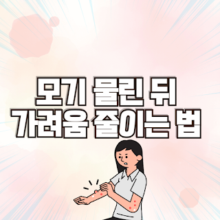 모기물린뒤