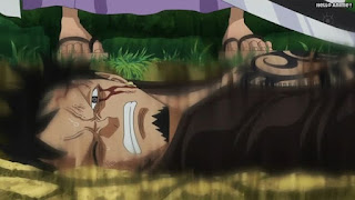 ワンピースアニメ ドレスローザ編 654話 トラファルガー・ロー 帽子無し トラ男 Trafalgar Law | ONE PIECE Episode 654