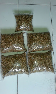 Pusat Grosir Biji Polokyo Kiloan Murah | Ready Banyak