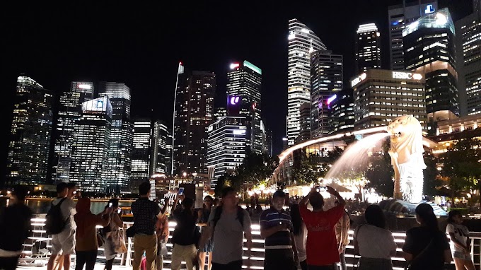 Things To Do In Singapore : Merlion Park