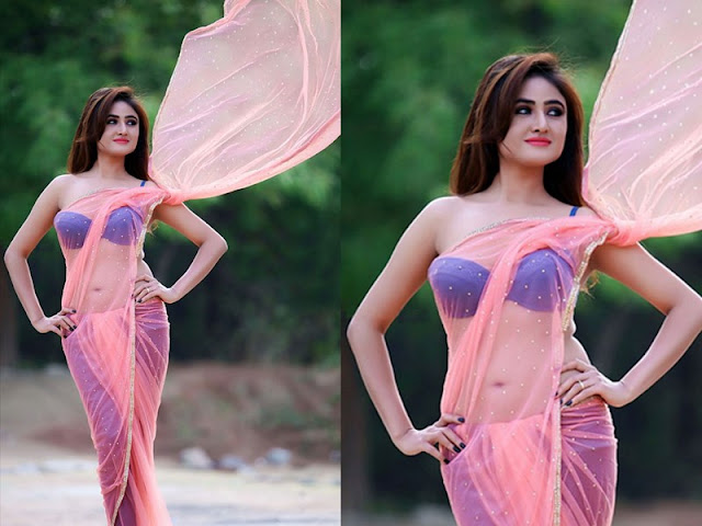 south actress sony charishta navel pics in pink saree