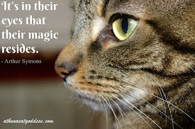 It's in their eyes that their magic resides