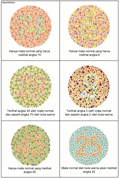 Kurniansyah's Blog: Buta Warna (Color Blind)