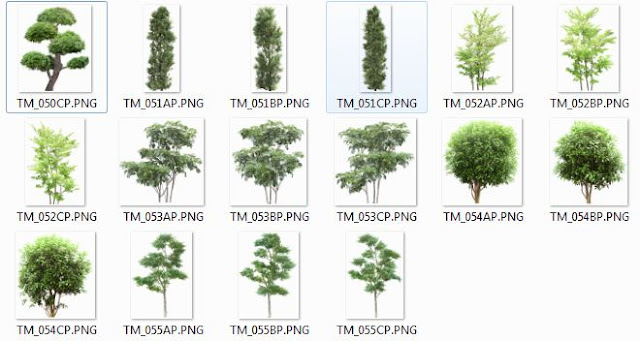 Photoshop Trees Png 06