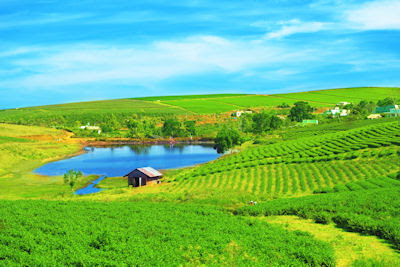 Qué bonito es vivir en el campo junto al lago de agua azul - Paisajes rurales del campo