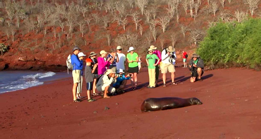 Red Sand Beach, Rabida, Galapagos