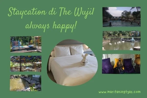 pengalaman staycation di The Wujil