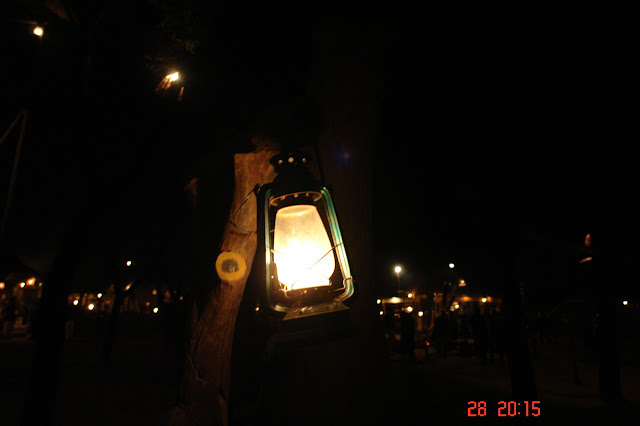 Lantern hanging on a tree inside the tourist village of Chokhi Dhani