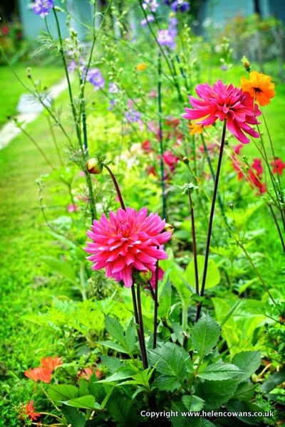 Flower bed