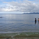 View album