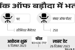 बैंक ऑफ बड़ौदा ने सीनियर मैनेजर के 250 पदों पर निकाली भर्ती 2024, सैलरी 70,000 (Bank of Baroda Recruitment 2024 for 250 posts of Senior Manager, salary 70,000)