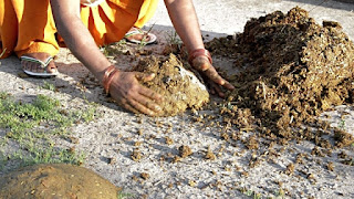 गौबर डालने को हुआ विवाद सास बहु घायल