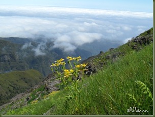 SAM_0291