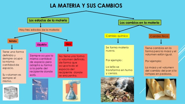 EL MIGUELITO": CIENCIAS DE LA NATURALEZA 1º - 2º