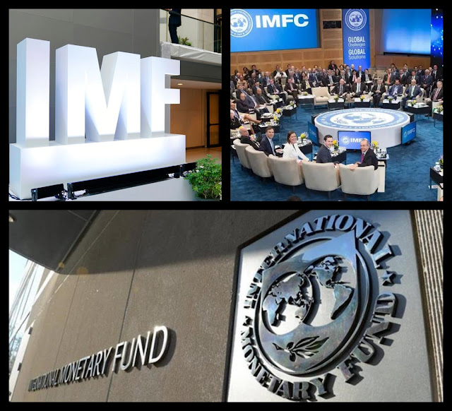 IMF’YE KARŞI OLMAK