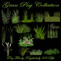 Grass PNG Collection, PNG tubes, plants, grass