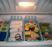 freezing food