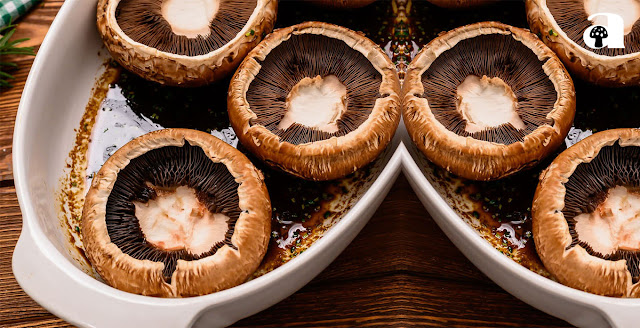 Portobello Mushrooms_1