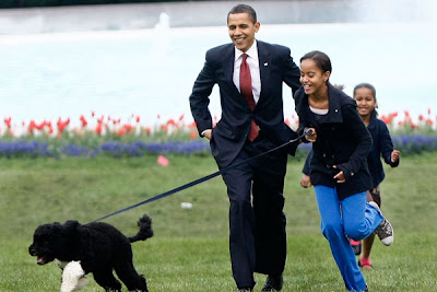 Top 10 Most Famous Celebrity Dogs The Obamas – Bo