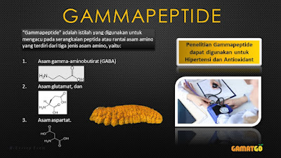 Gammapeptide kandungan Gamat Go