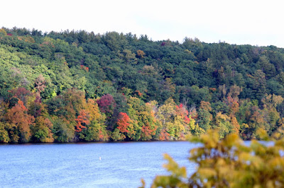 autumn leaves, St. Croix River