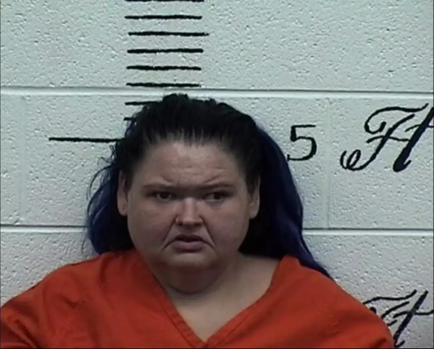 1000-lb Sisters' Amy Slaton Arrested at a Tennessee Zoo - Charged with Illegal Possession of Drugs - Pride Moment