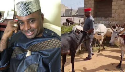 “How Can People And Cows Be Dragging The Roads?” — Kenneth Okonkwo Laments