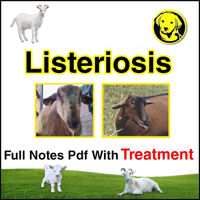 Free Download Listeriosis Disease Full Pdf