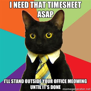 Office cat meme