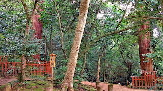 人文研究見聞録：八重垣神社 ［島根県］