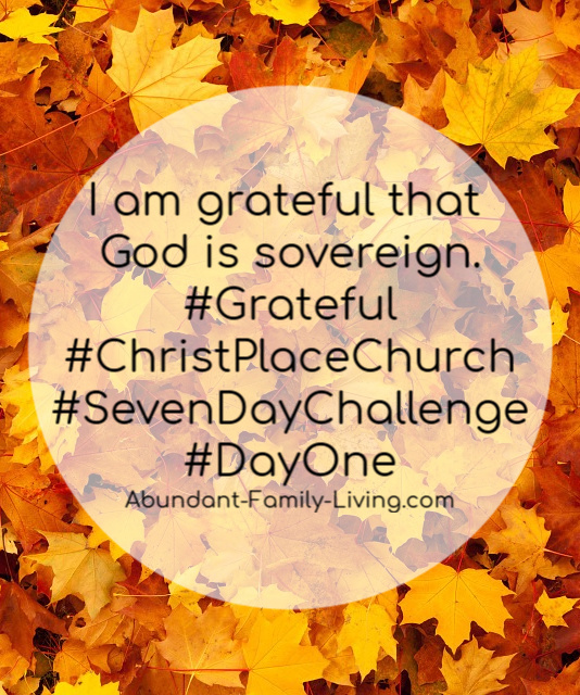 I Am Grateful Challenge