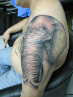 Tatuagem animal elefante