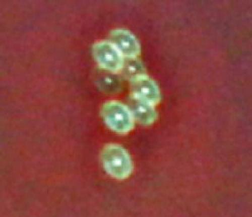 Strange Unidentified Flying Objects Over Colorado Springs On 4Th Of July 2011
