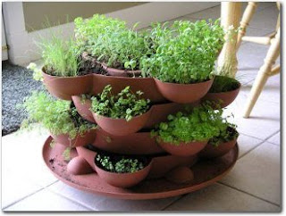 indoor herb garden design on Some Tips On Growing An Indoor Herb Garden