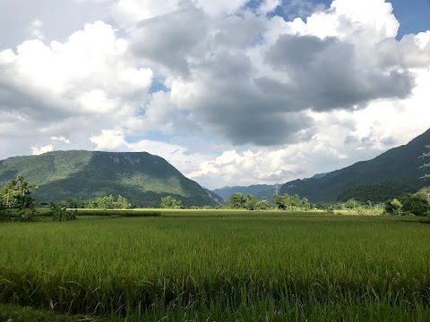 Losing your soul in the golden terraced fields in the ripe rice season of Pu Luong nature reserve