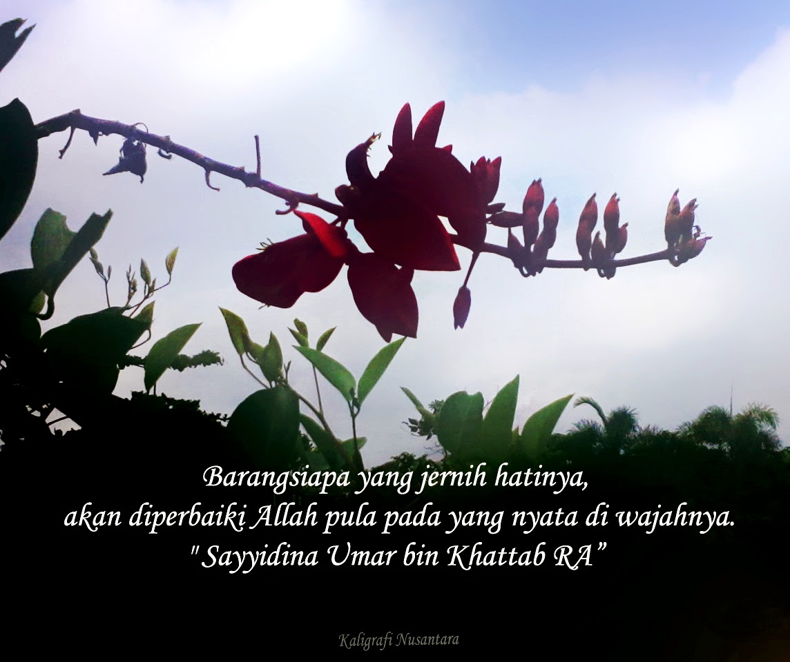 Gambar Animasi Dp Bbm Islami Terbaru Display Picture Update