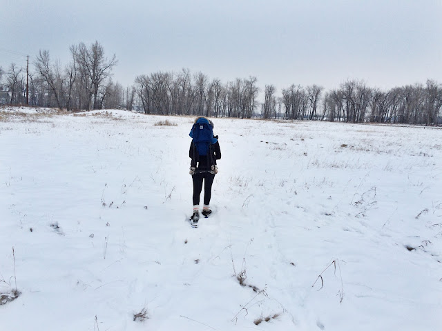 Snowshoeing in Calgary