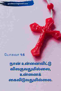 bible in tamil vasanam