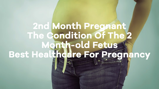 2nd Month Pregnant - The Condition Of The 2 Month-old Fetus - Best Healthcare For Pregnancy