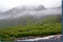 Valley of flowers inside