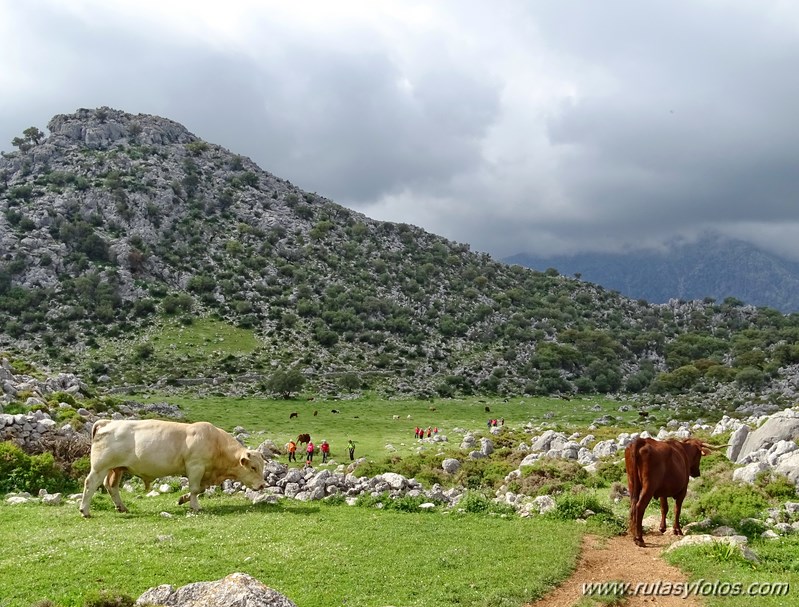 Benaocaz-Tunel del Horgazal