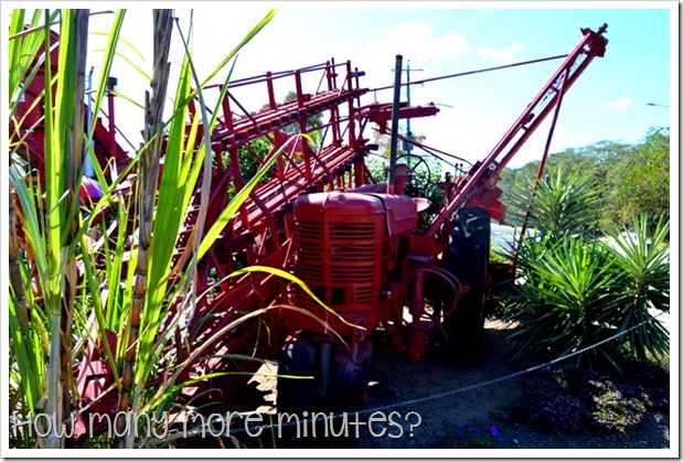 Sarina Sugar Shed | How Many More Minutes? Sarina Sugar Shed | How Many More Minutes?