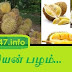 Aanmai Balam Kooda, Kuzhanthai pirakka - Durian pazham (iyarkai unavugal in tamil)