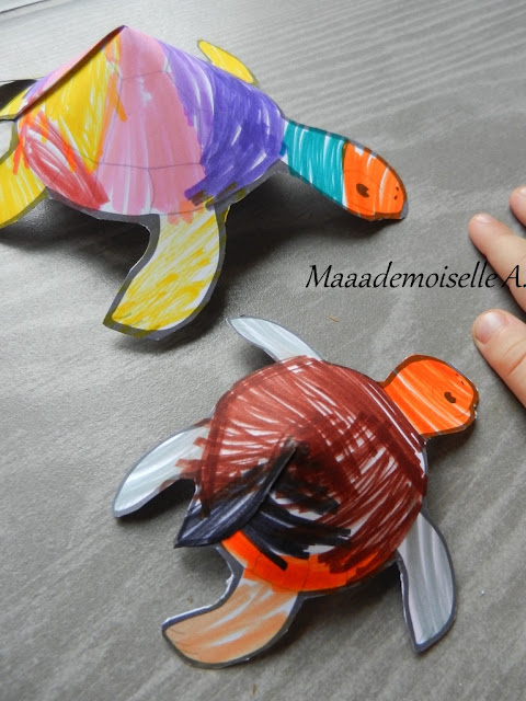 || Activité : Tortues en papier