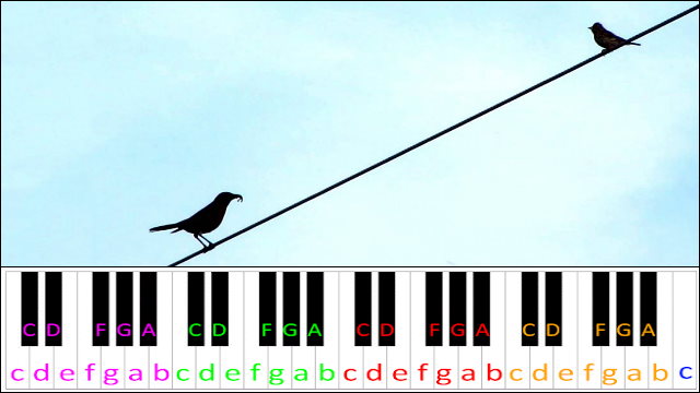 Two Birds by Regina Spektor Piano / Keyboard Easy Letter Notes for Beginners