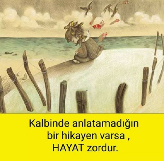 Resim